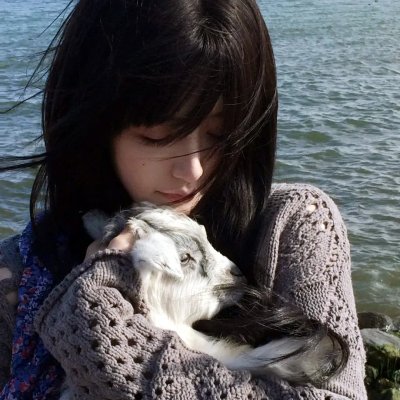 缅因海快递