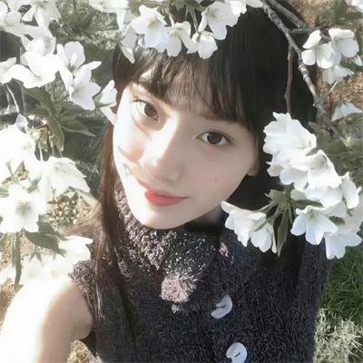 江户盗贼团五叶